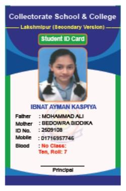 Principal's Picture